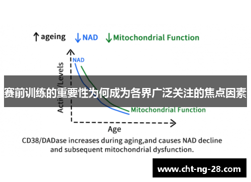赛前训练的重要性为何成为各界广泛关注的焦点因素