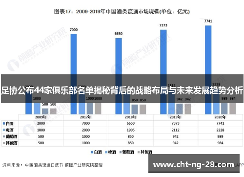 足协公布44家俱乐部名单揭秘背后的战略布局与未来发展趋势分析