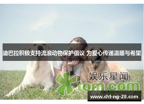 迪巴拉积极支持流浪动物保护倡议 为爱心传递温暖与希望 迪巴拉积极支持流浪动物保护倡议 为爱心传递温暖与希望