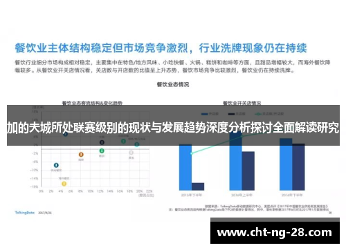 加的夫城所处联赛级别的现状与发展趋势深度分析探讨全面解读研究 加的夫城所处联赛级别的现状与发展趋势深度分析探讨全面解读研究