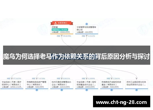 魔鸟为何选择老马作为依赖关系的背后原因分析与探讨