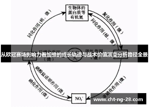 从欧冠赛场影响力看加维的成长轨迹与战术价值演变分析路径全景